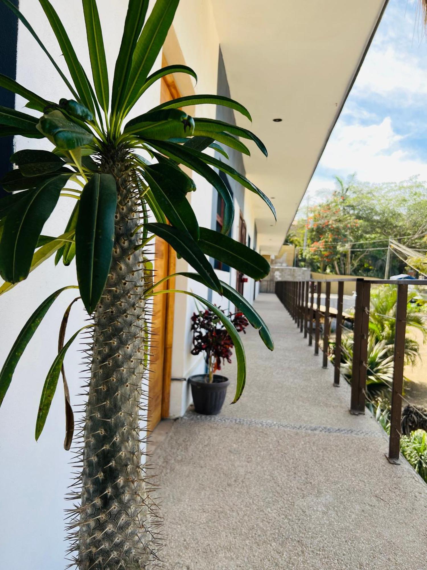 Hotel Samanu Sayulita Exterior foto